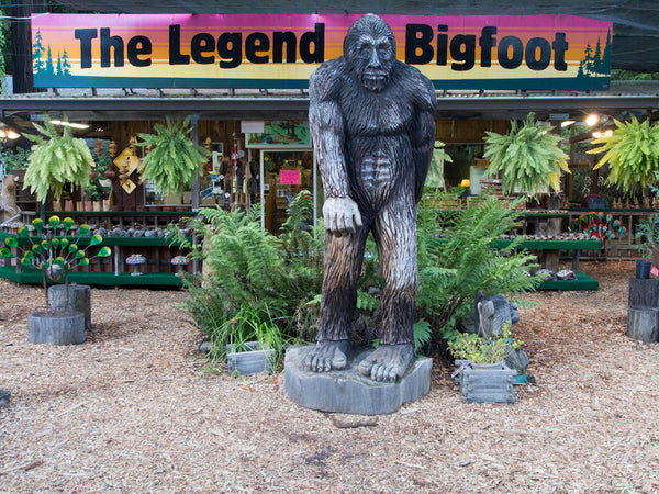 Why We Need Bigfoot, Even if it isn’t Real