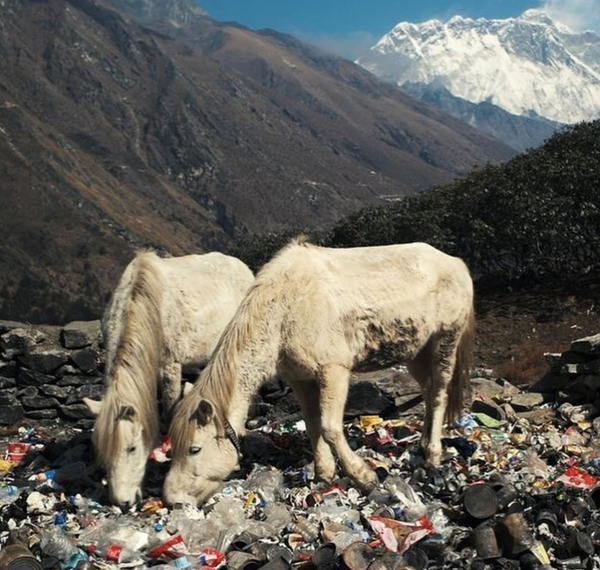 Climbers Have Turned Mount Everest into a High-Altitude Garbage Dump, But There's Hope to Change That!